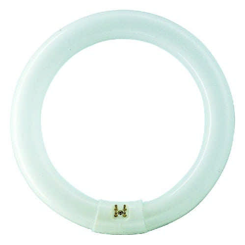 Osram Leuchtstofflampe L 32 Watt 840 C neutralweiss T8 G10Q circular 26mm Tube
